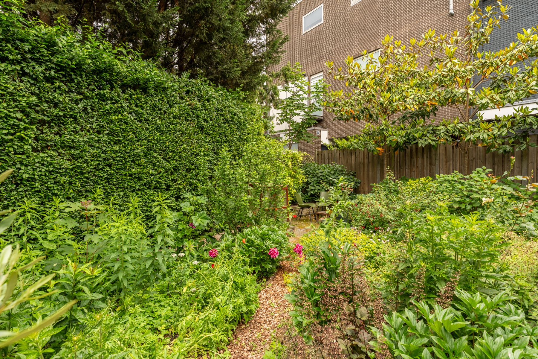 Tuinpad tussen heg en borders